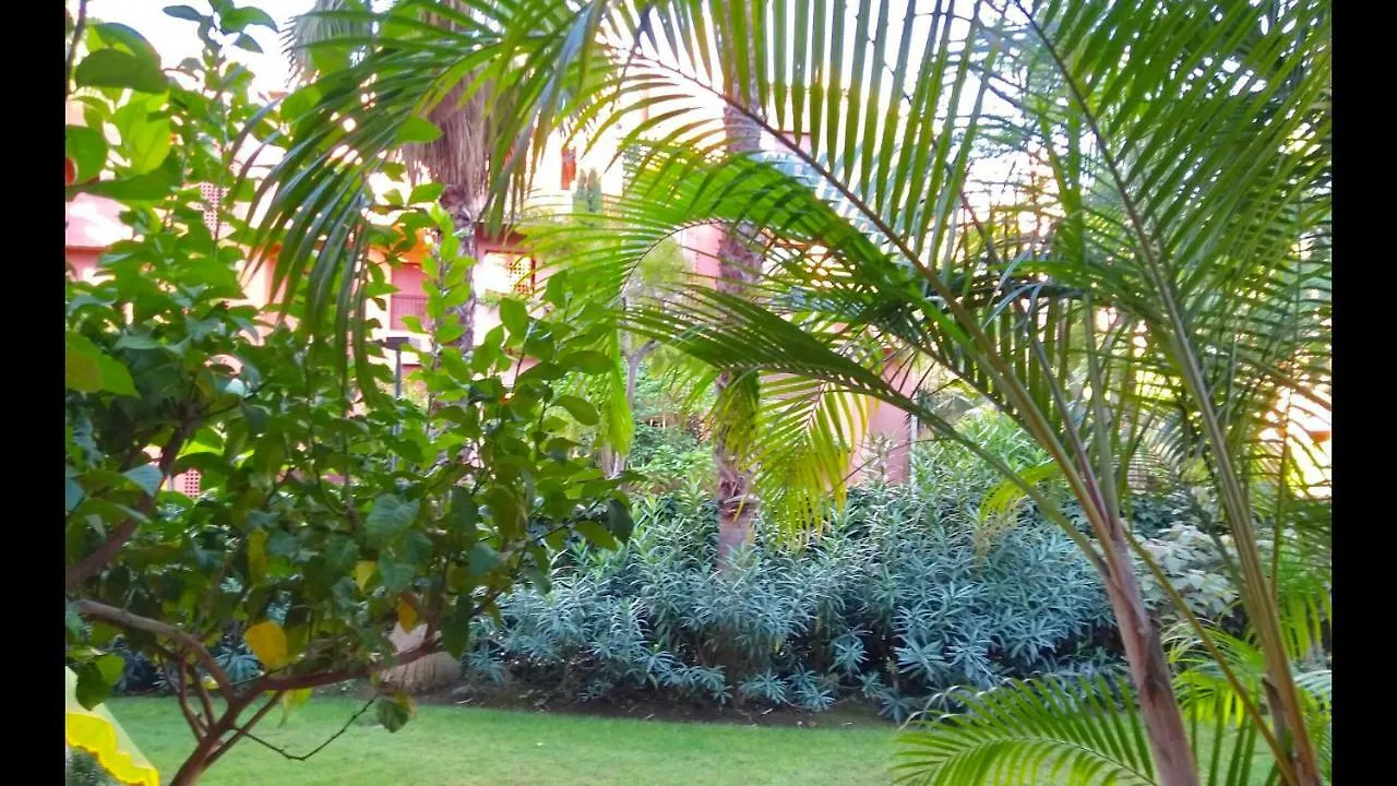 Marbella Alicate Beachfront - Luxury Apartment-2 España